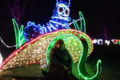 15.2.-Lumina-park-52
