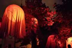 13.10.-Signal-festival-17